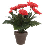 Planta Artificial - Gerbera Rosa - MICA